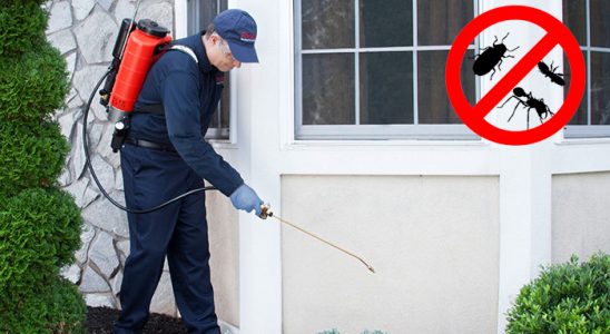 Vakfıkebir Dezenfeksiyon böcek ilaçlama ve haşere kontrolü — ilaclama-tr.com